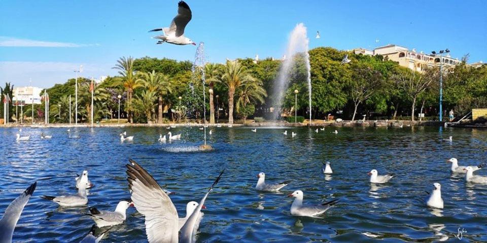 Апартаменты Torrevieja Experience Mar 2 Экстерьер фото